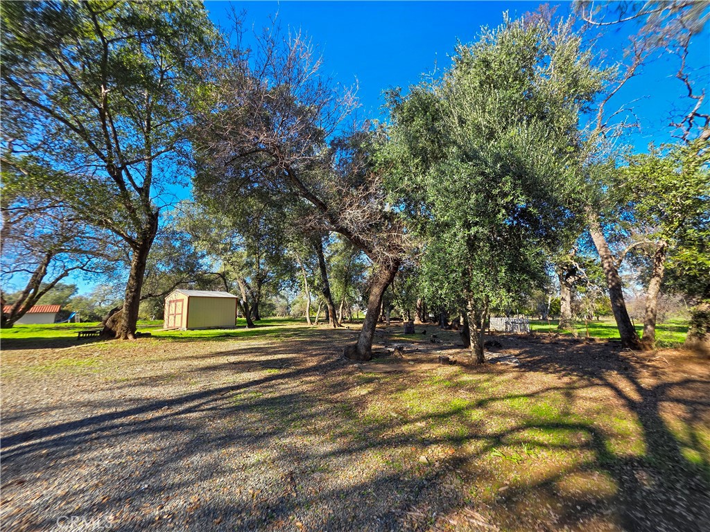 732 Mission Olive Property Photo 4