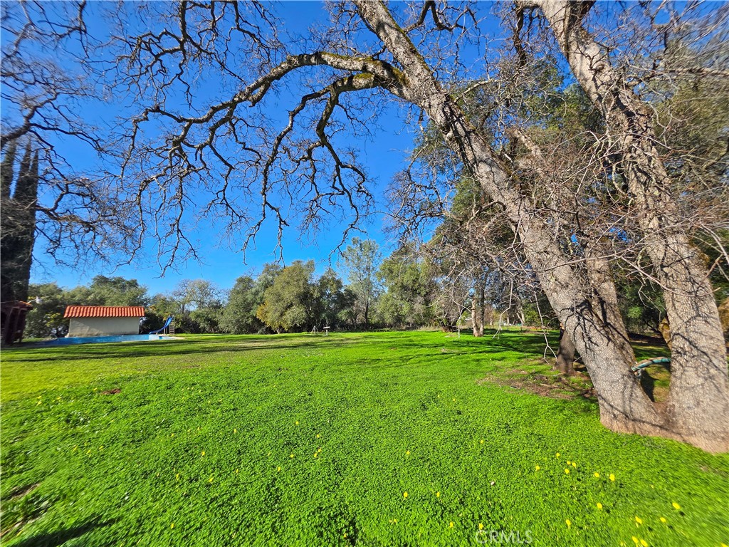 732 Mission Olive Property Photo 9