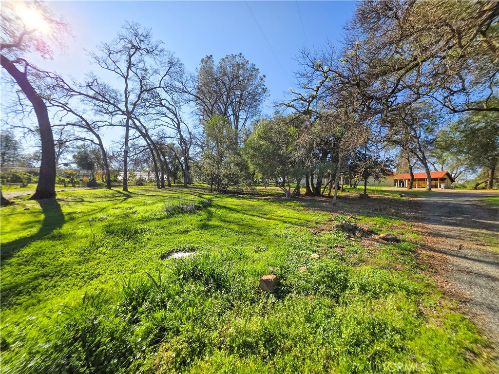 732 Mission Olive Property Photo 35