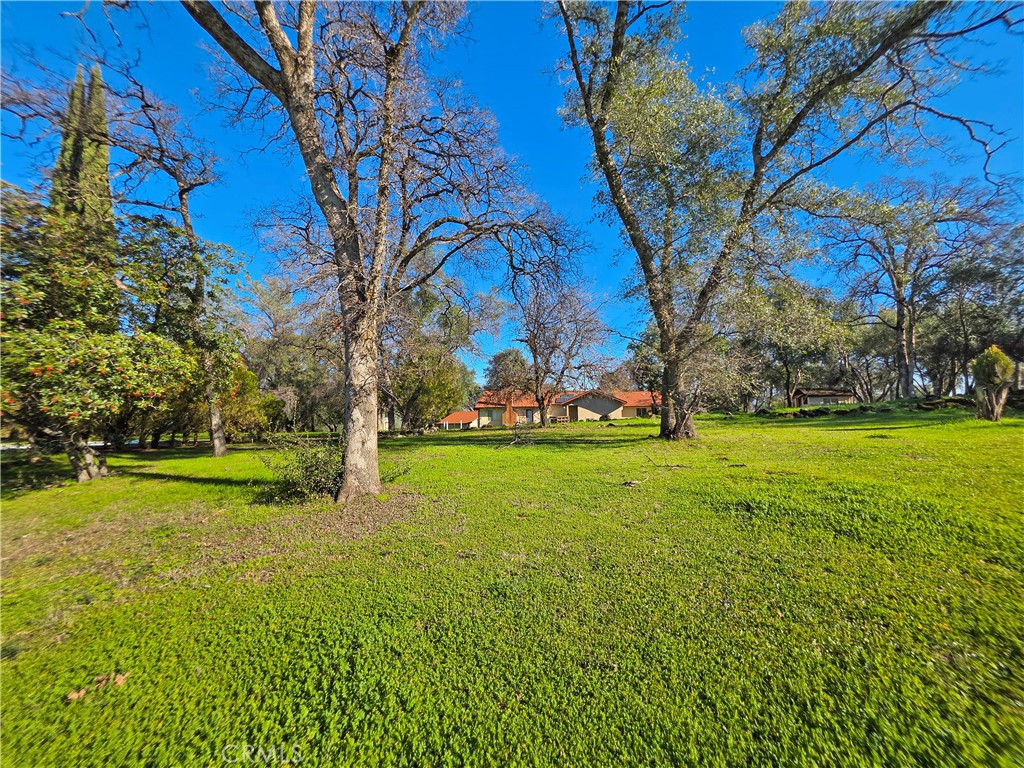 732 Mission Olive Property Photo 38