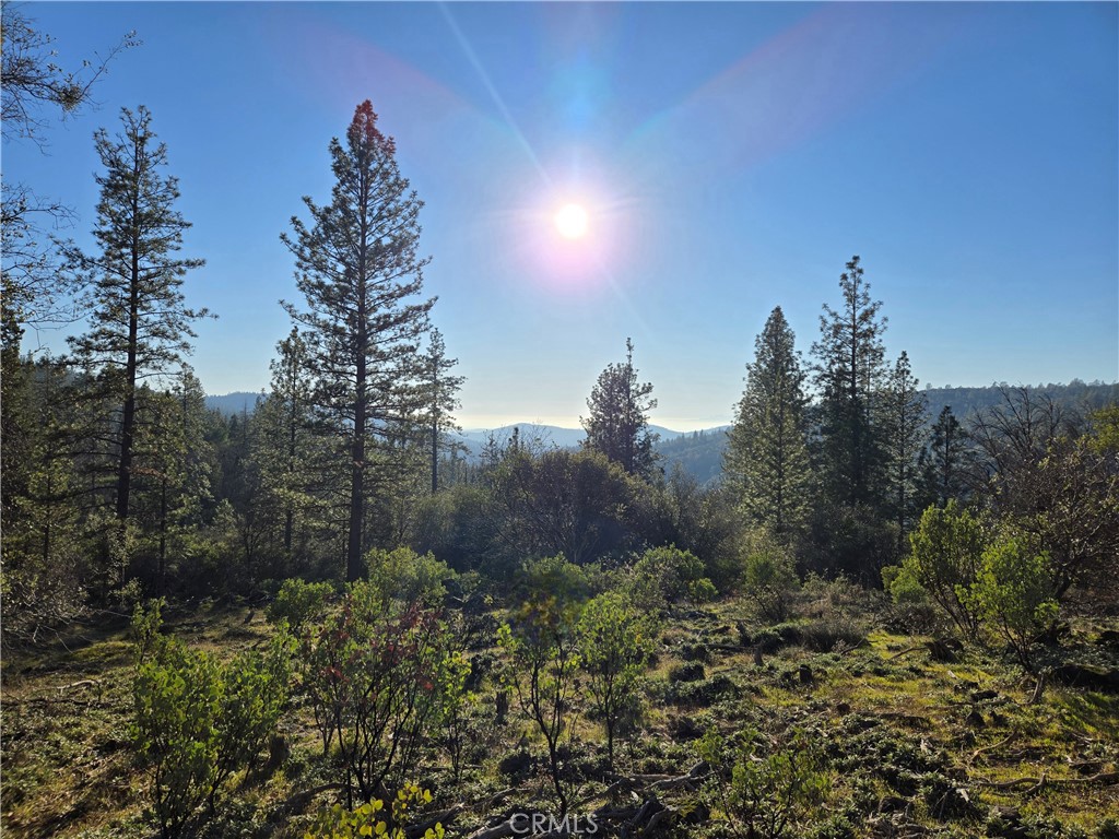 0 Double Eagle Way Property Photo 1