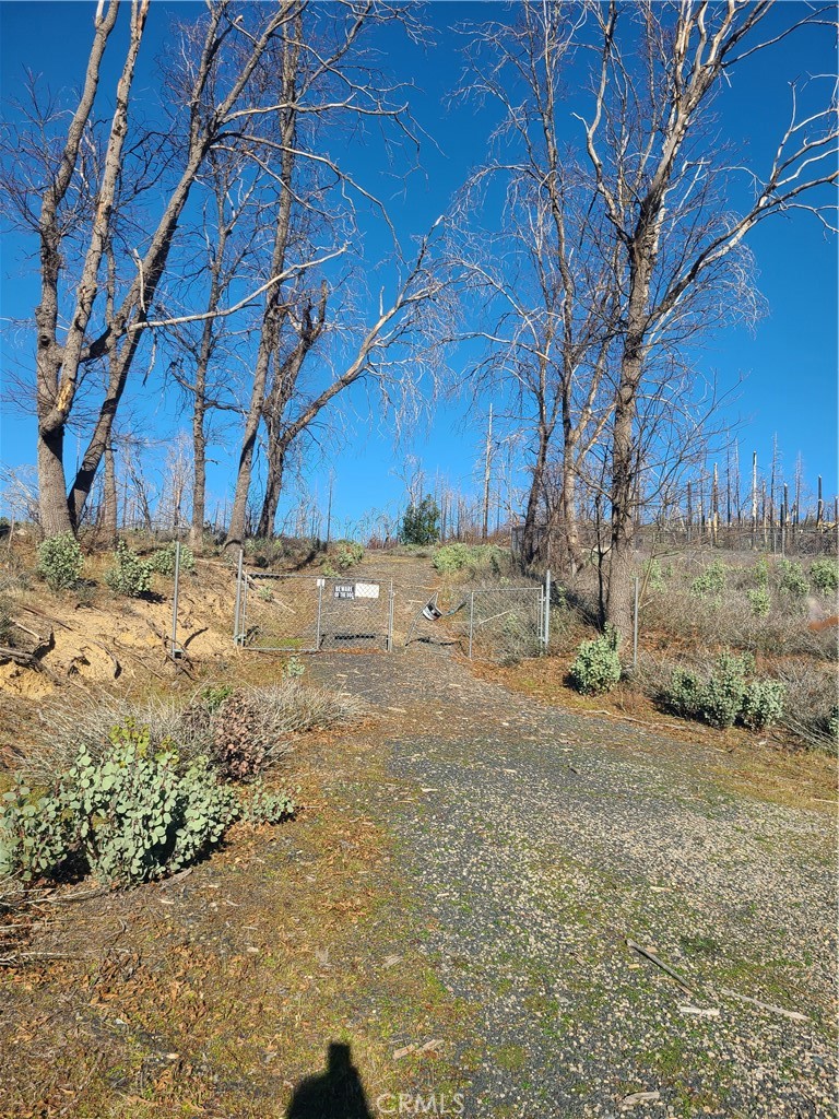 81 Green Cedar Property Photo 1