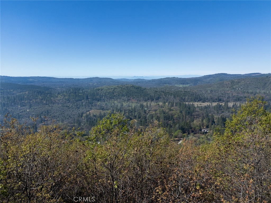 14872 Queenan Property Photo 43
