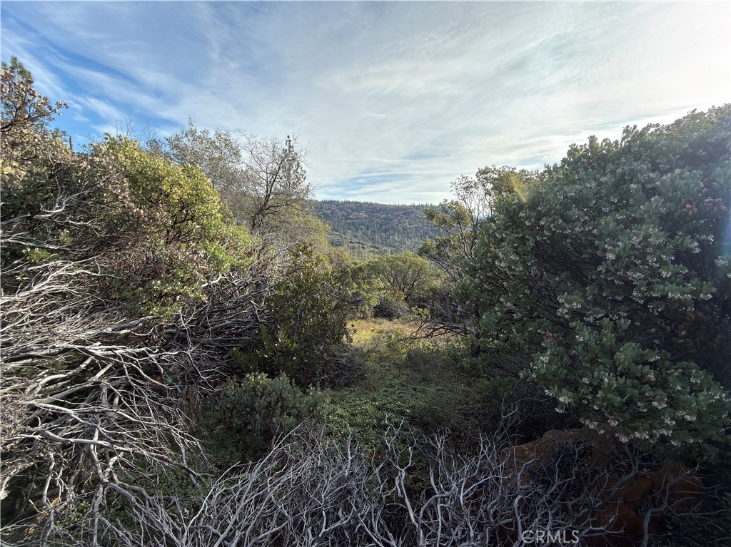 0 Top View Court Property Photo 6