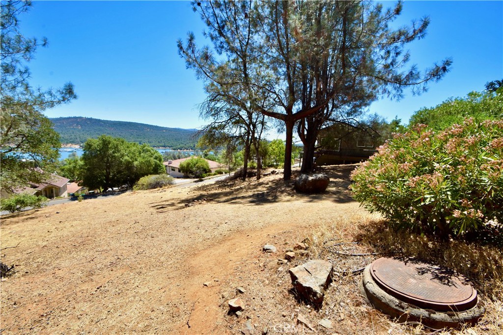 6311 Jack Hill Property Photo 4