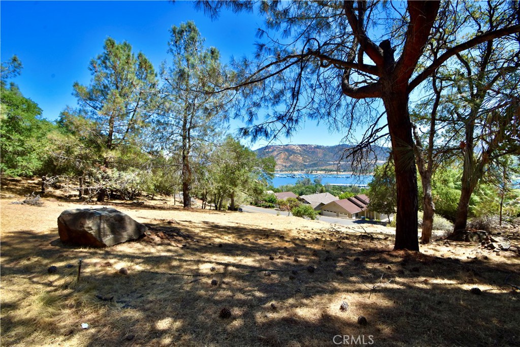 6311 Jack Hill Property Photo 5