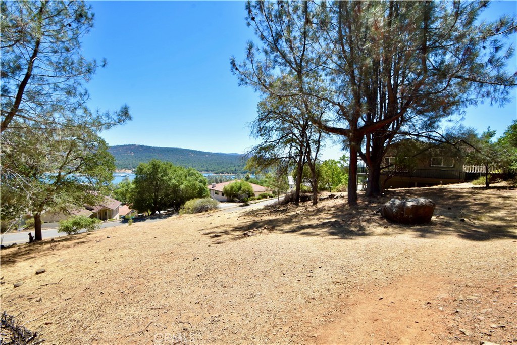 6311 Jack Hill Property Photo 7