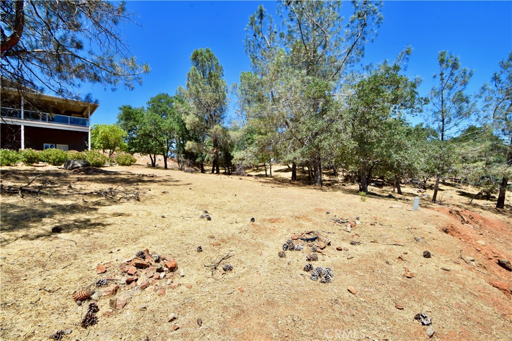 6311 Jack Hill Property Photo 9