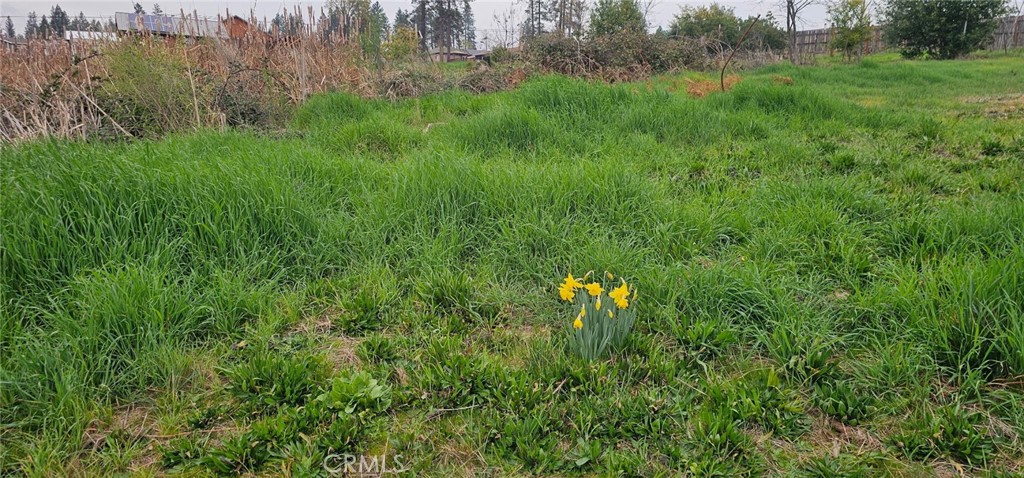 5832 Ingalls Property Photo 2