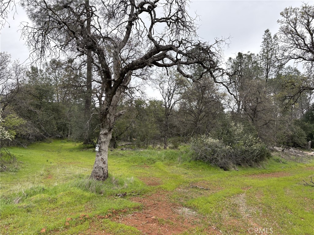 0 Highlands Boulevard Property Photo 1