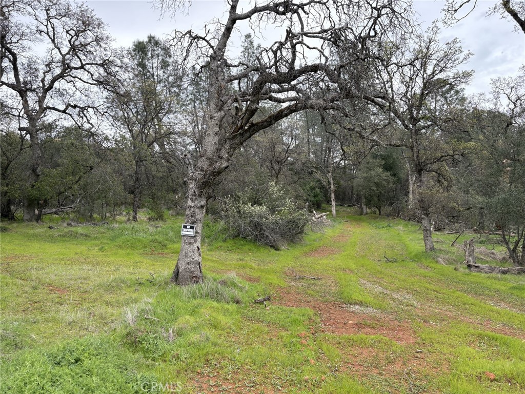 0 Highlands Boulevard Property Photo 4