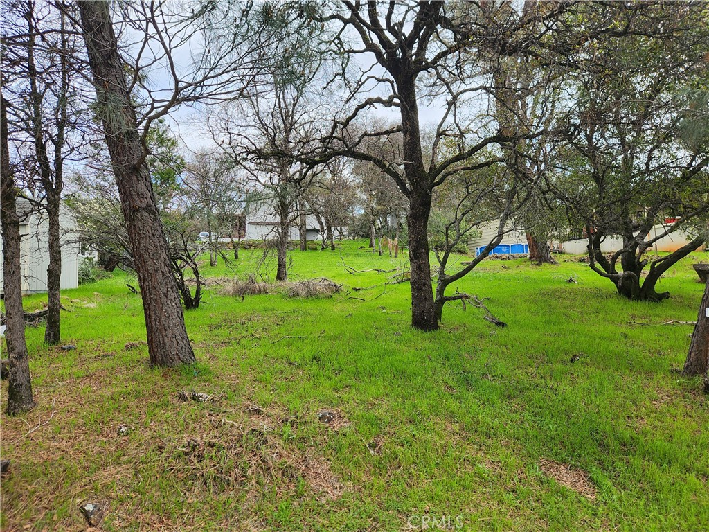 582 Silver Leaf Dr. Property Photo 1