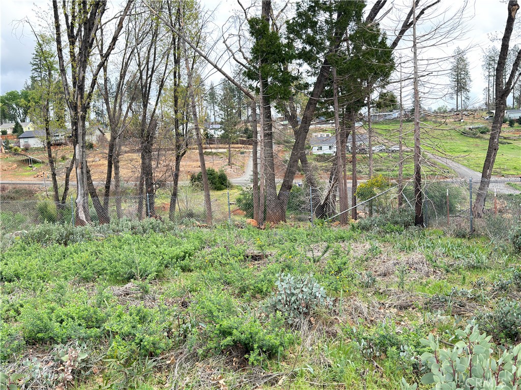 5684 Clara Lane Property Photo 31