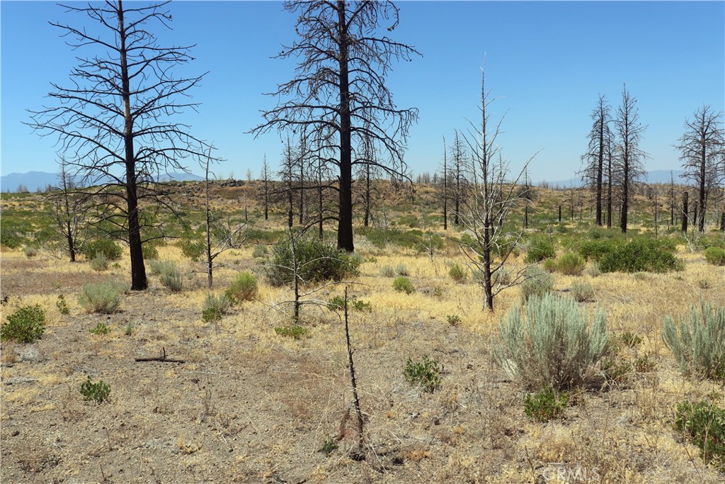0 Juniper Valley Property Photo 2