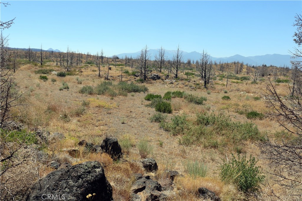 0 Juniper Valley Property Photo 3
