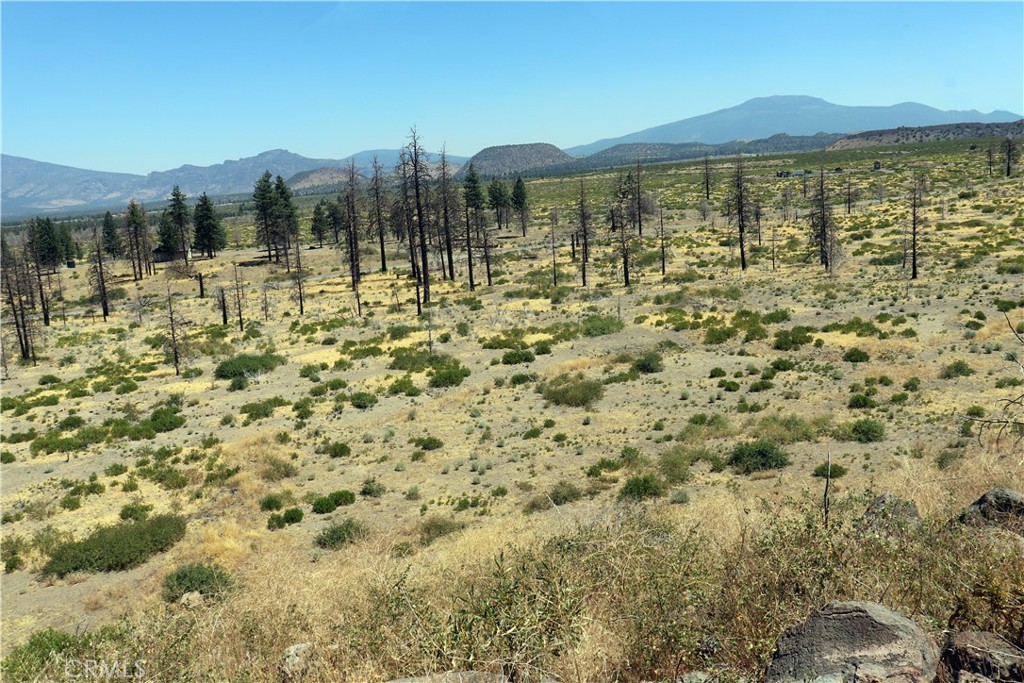 0 Juniper Valley Property Photo 4
