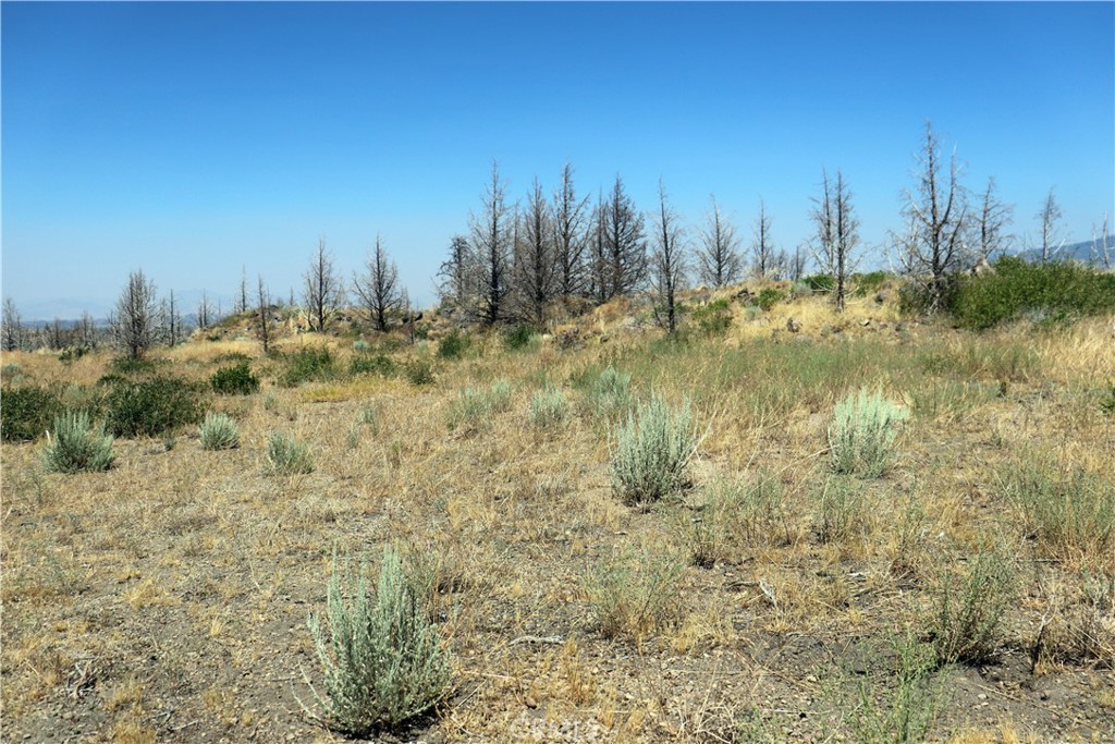 0 Juniper Valley Property Photo 5