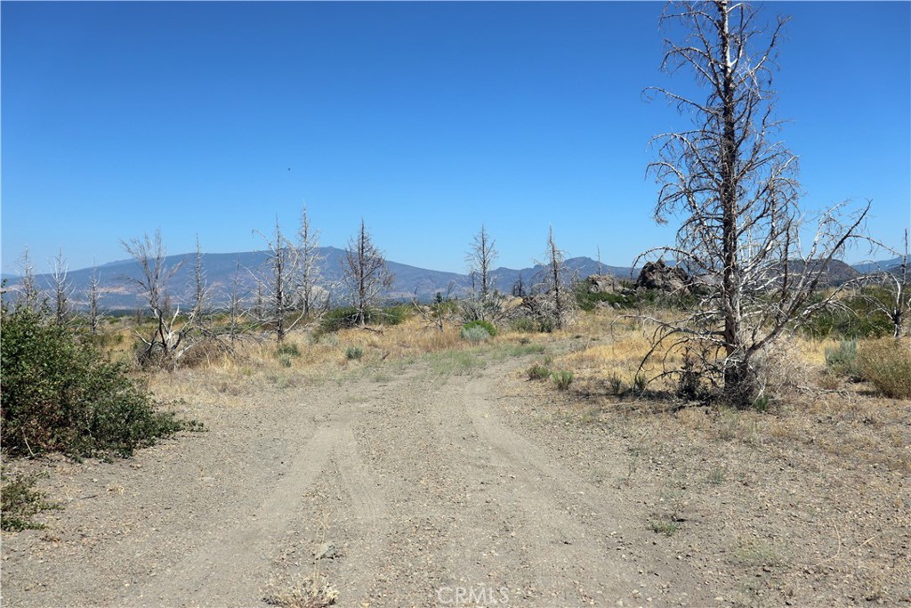 0 Juniper Valley Property Photo 7