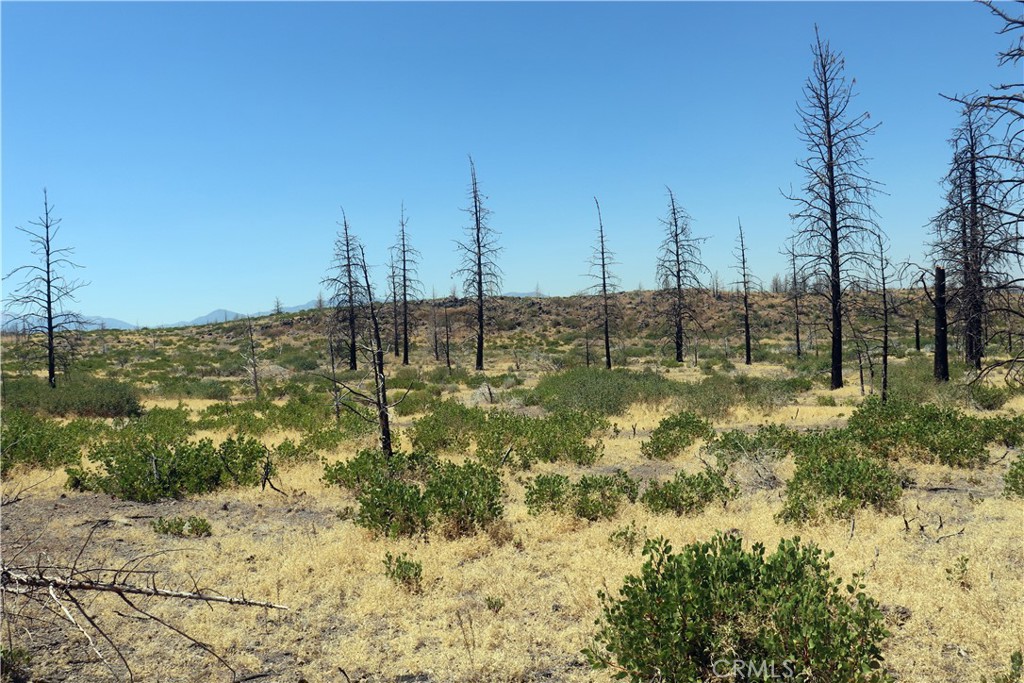 0 Juniper Valley Property Photo 8