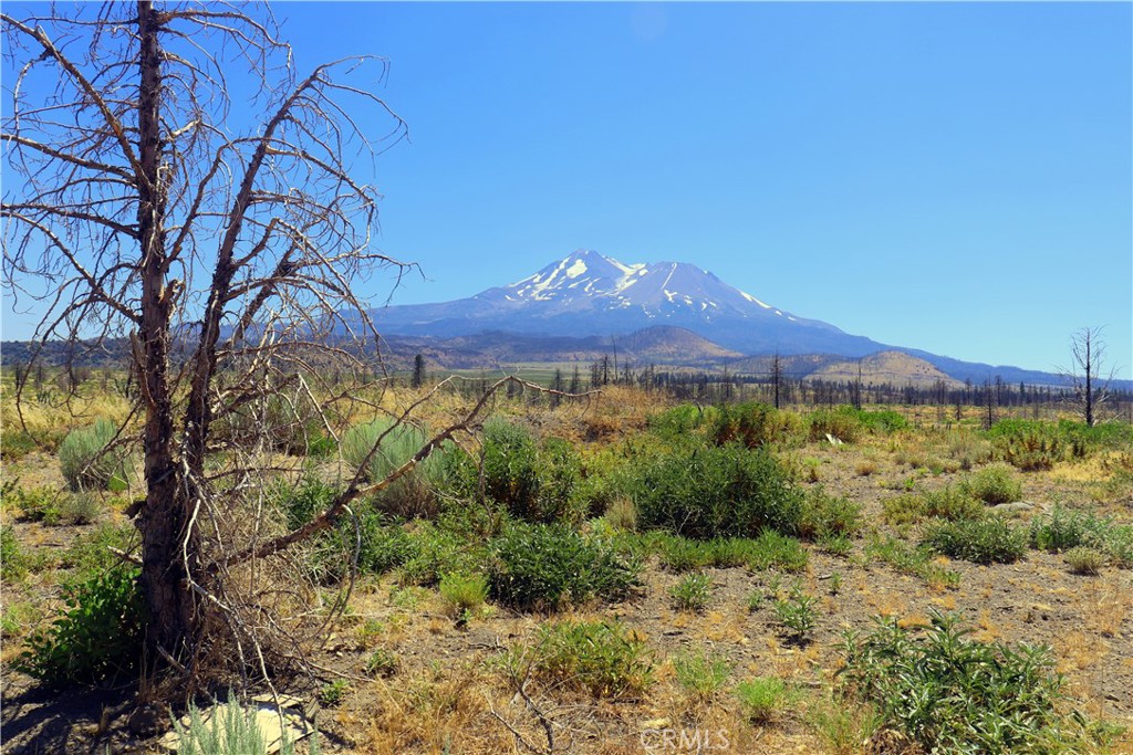 0 Juniper Valley Property Photo 9