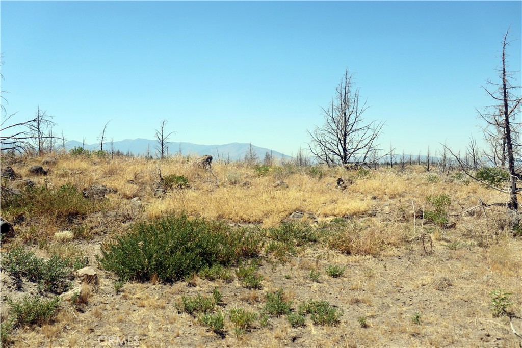 0 Juniper Valley Property Photo 11