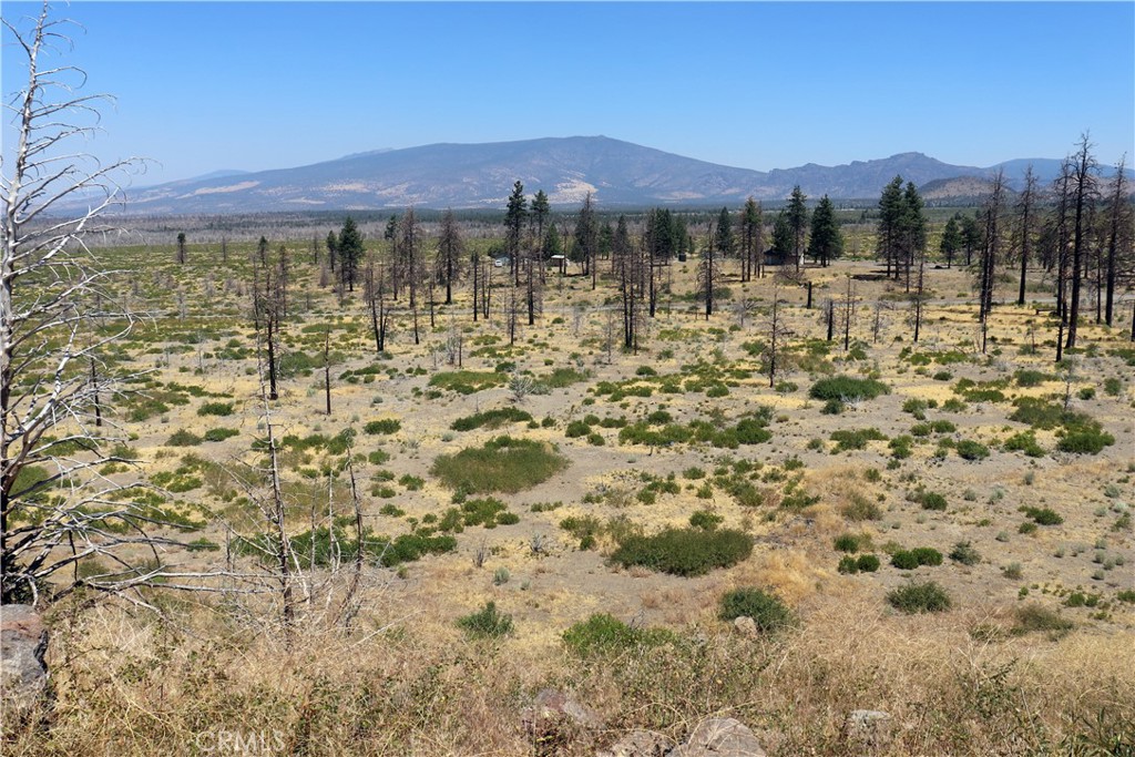 0 Juniper Valley Property Photo 12