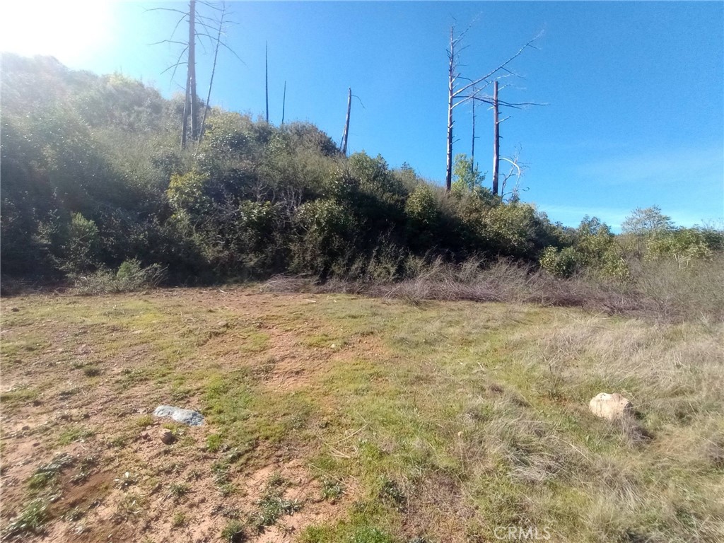 0 Bardees Bar Property Photo 18
