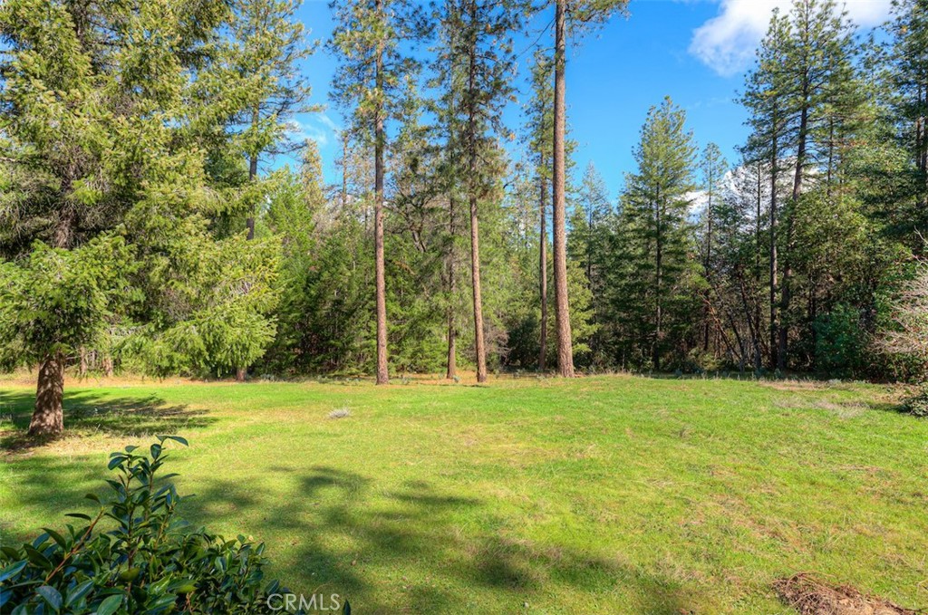 712 Bloomer Hill Property Photo 7