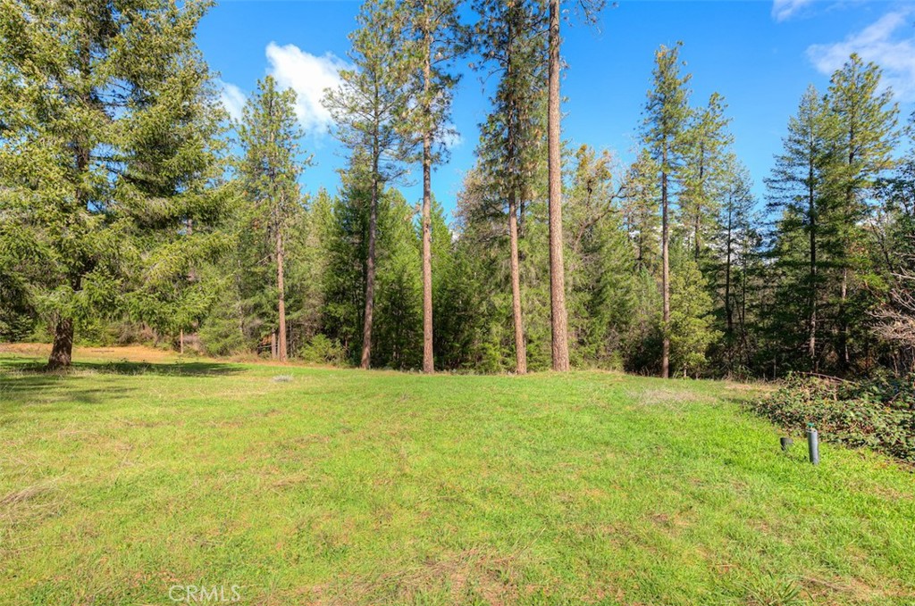 712 Bloomer Hill Property Photo 32