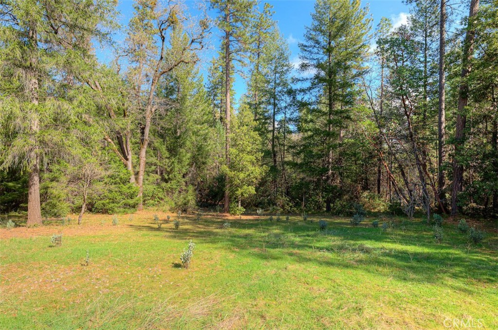 712 Bloomer Hill Property Photo 34