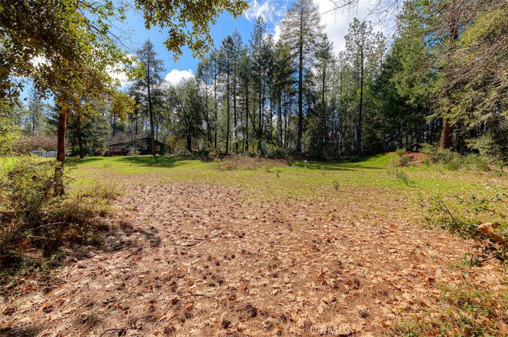 712 Bloomer Hill Property Photo 37