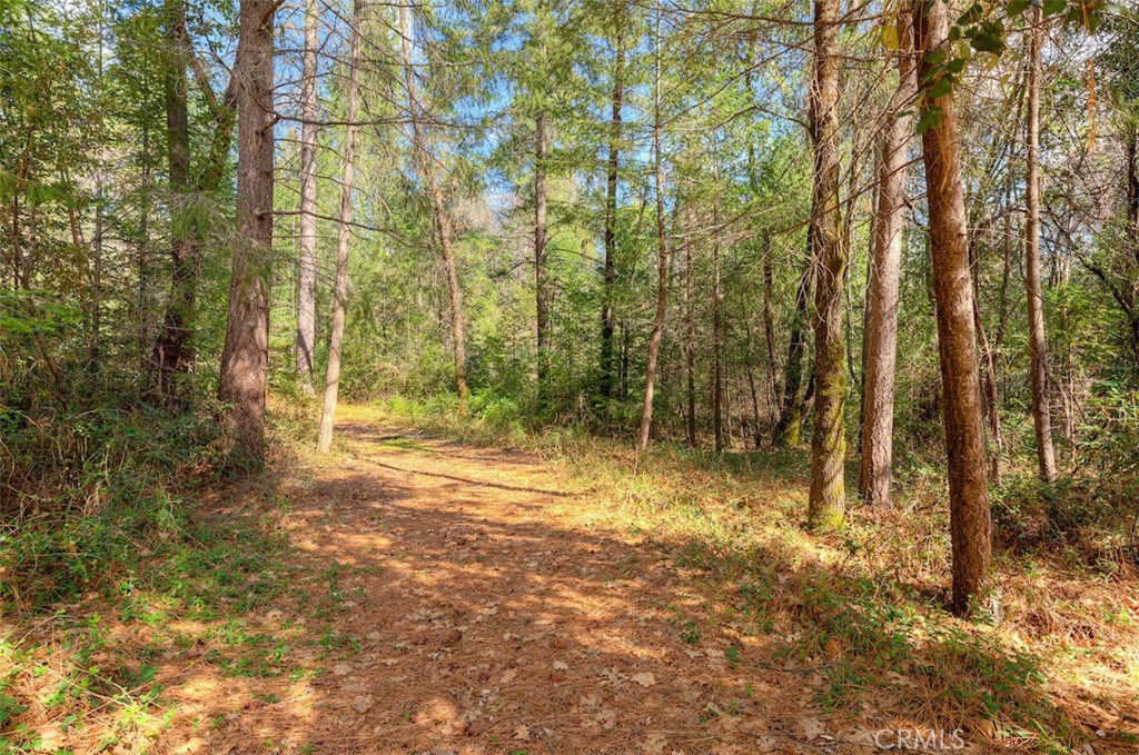 712 Bloomer Hill Property Photo 39