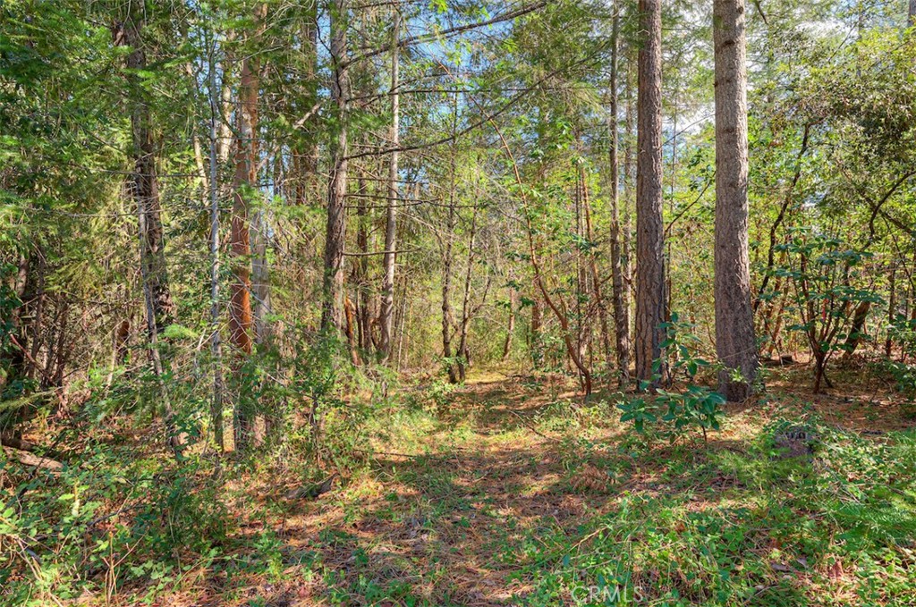 712 Bloomer Hill Property Photo 46