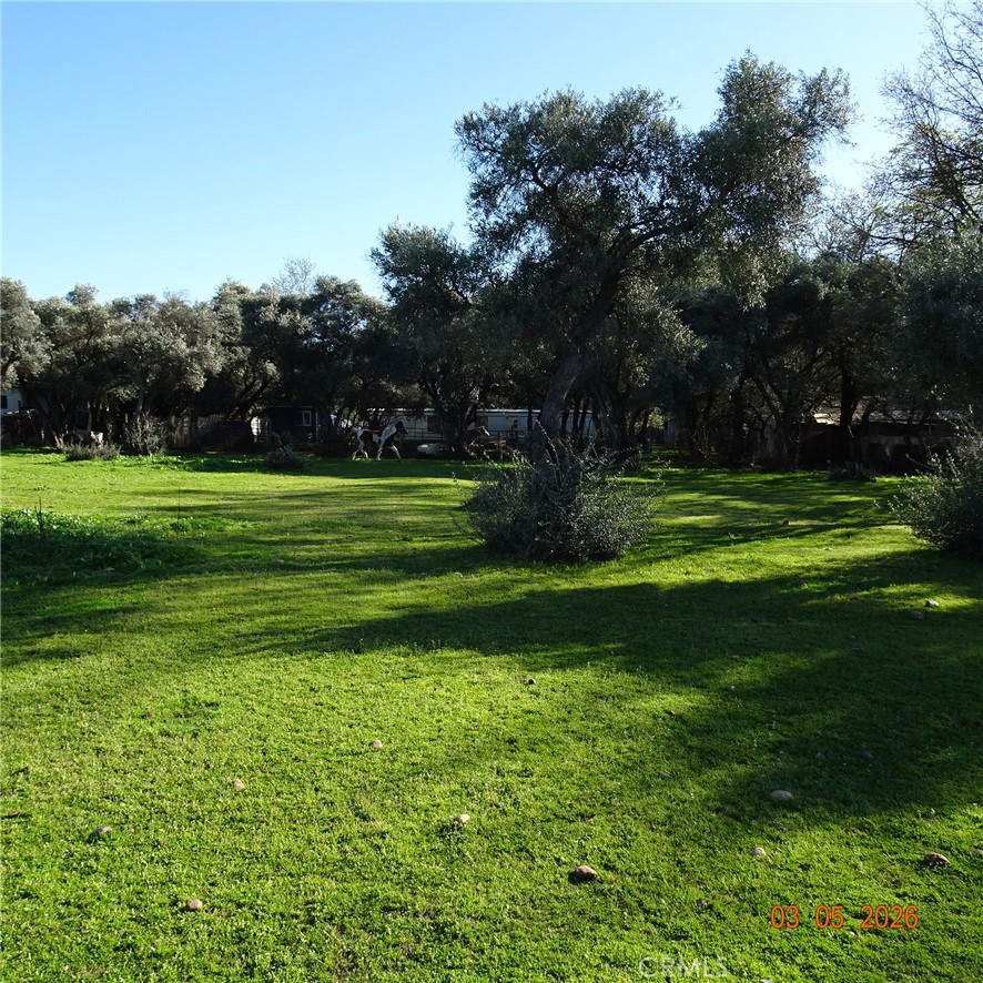 2549 Palermo Road Property Photo 1