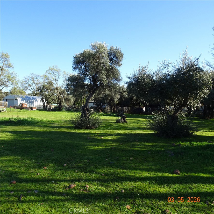 2549 Palermo Road Property Photo 4
