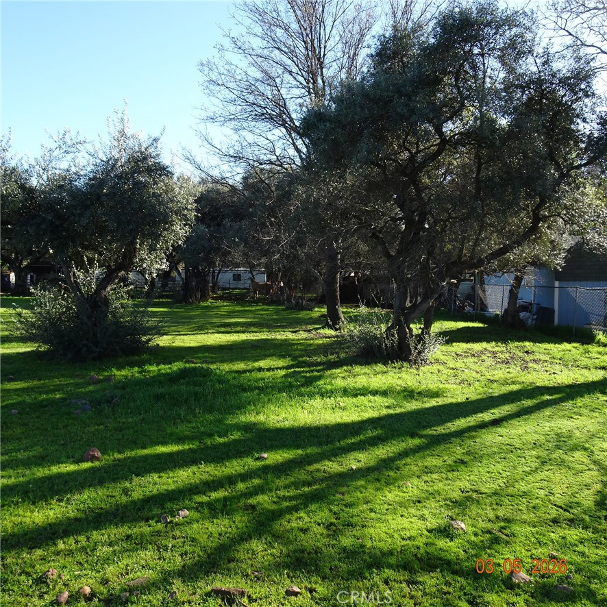 2549 Palermo Road Property Photo 5