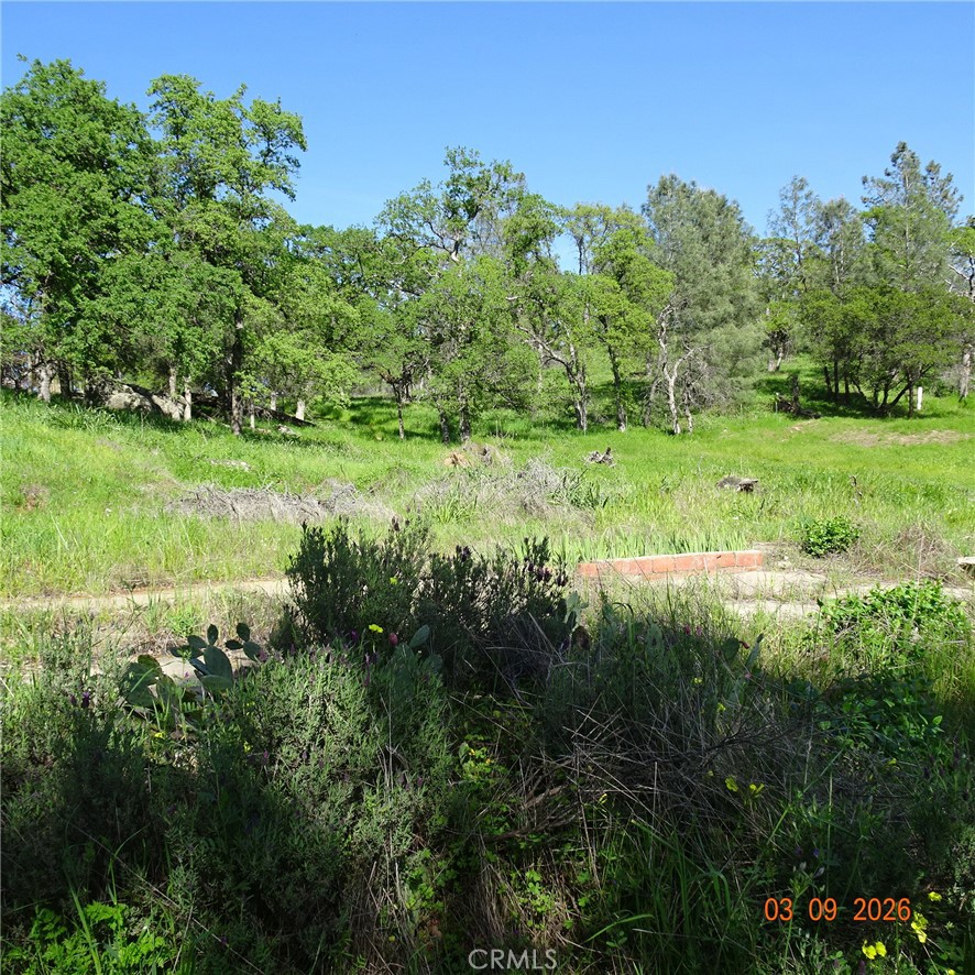 0 Incline Property Photo 2