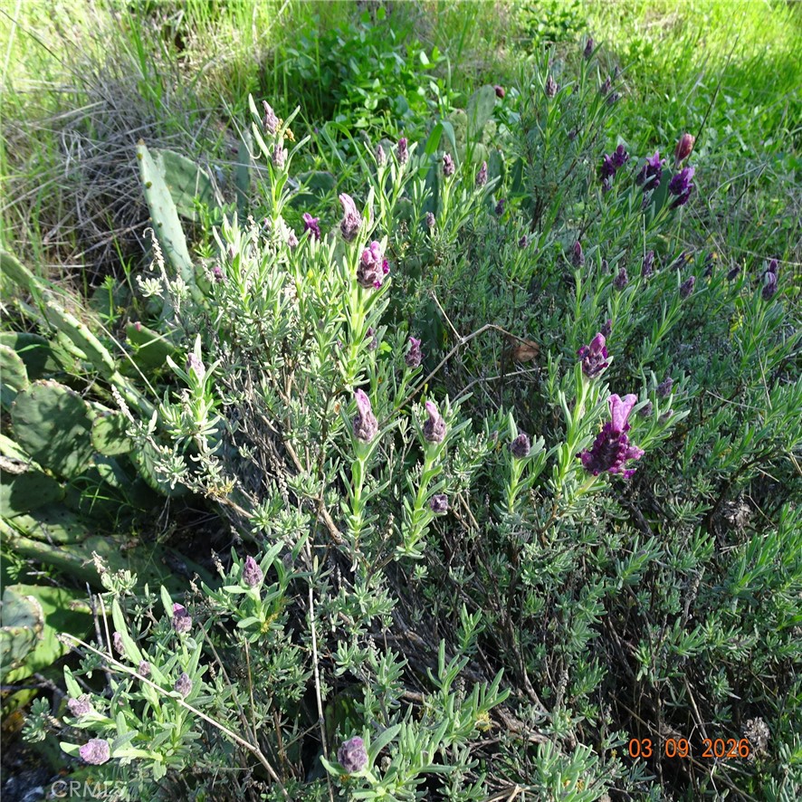 0 Incline Property Photo 3