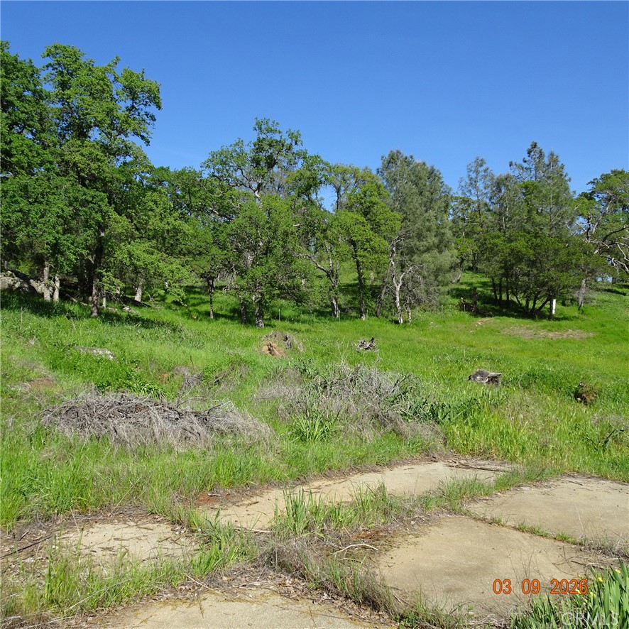 0 Incline Property Photo 5