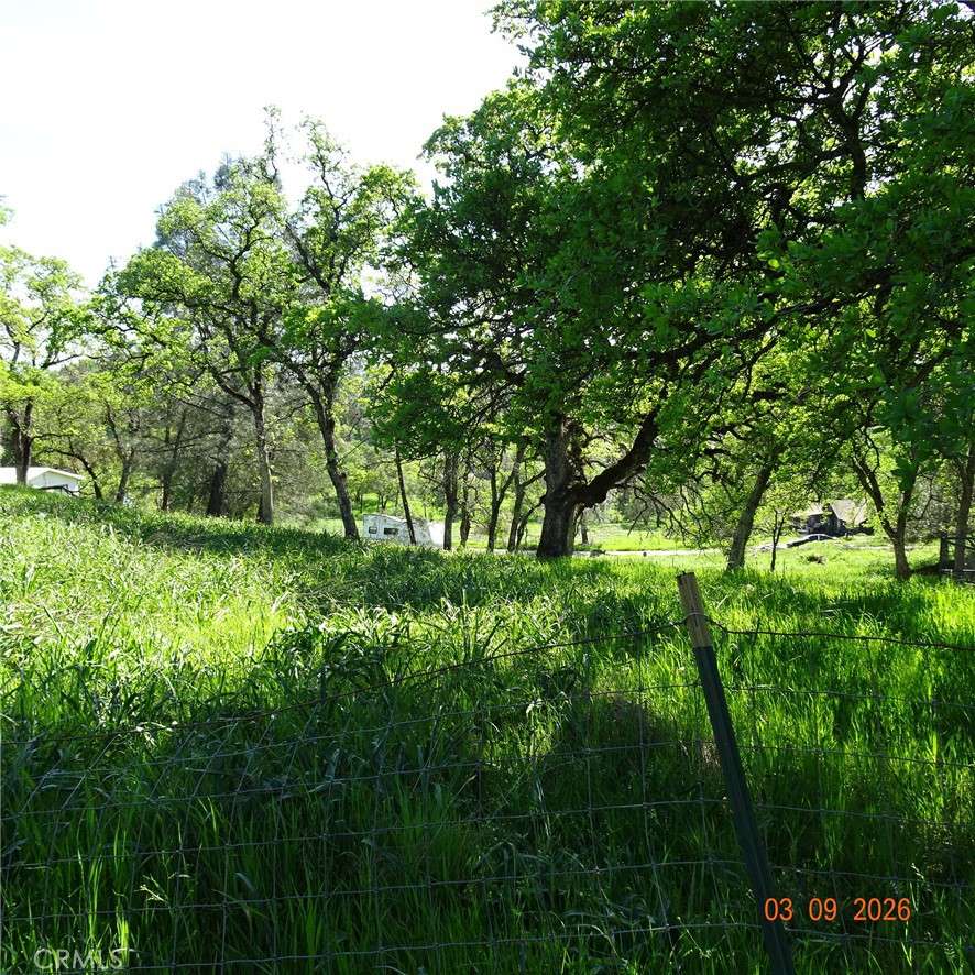 0 Reicker Property Photo 1