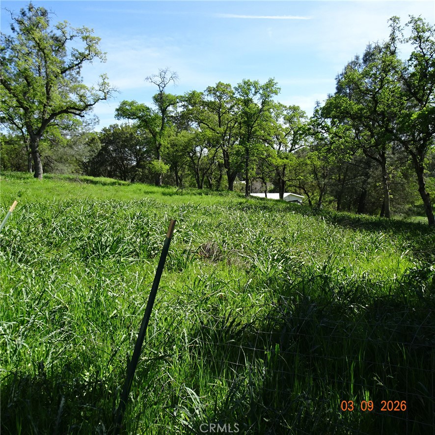 0 Reicker Property Photo 2