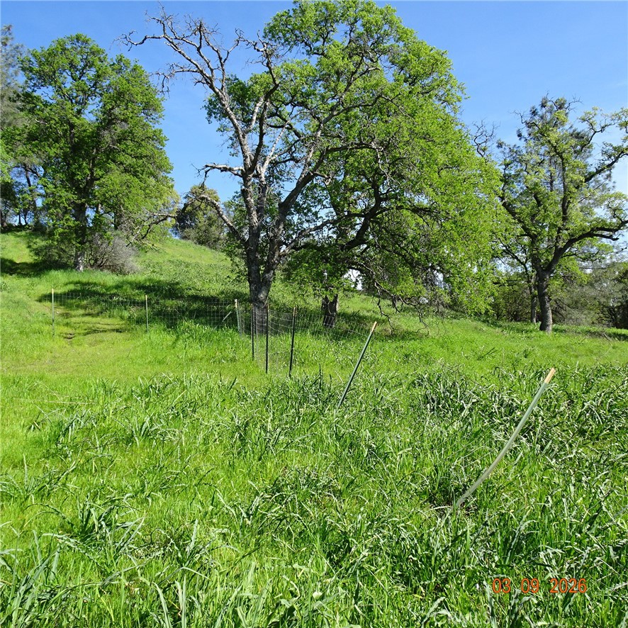 0 Reicker Property Photo 3