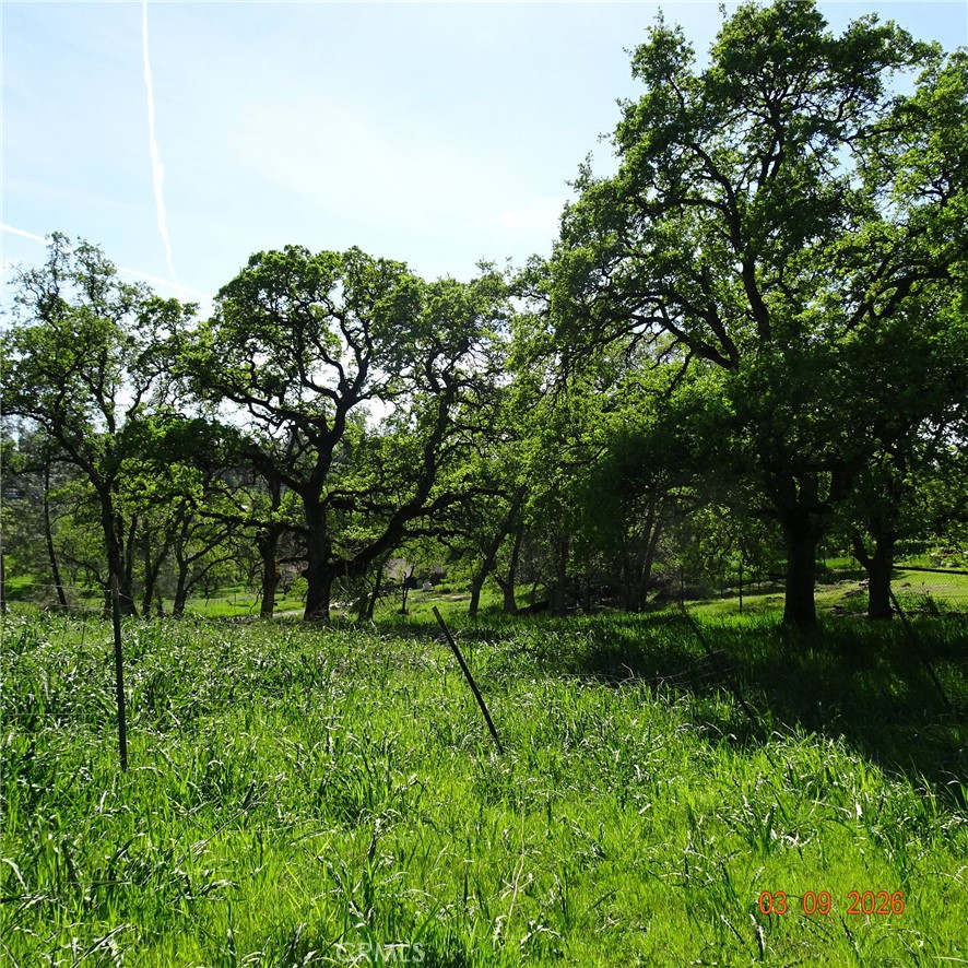0 Reicker Property Photo 6