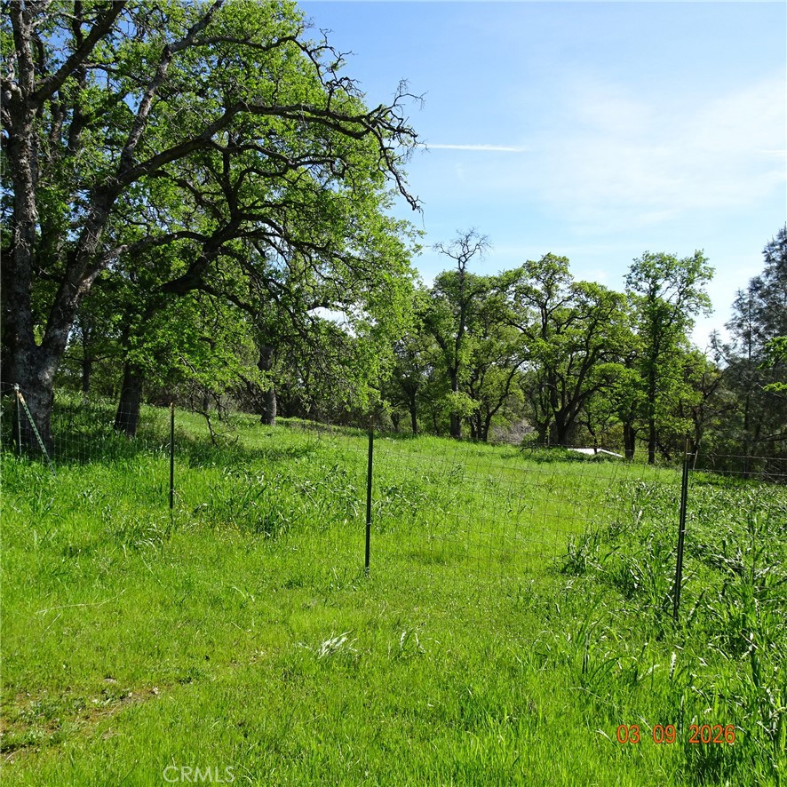 0 Reicker Property Photo 7