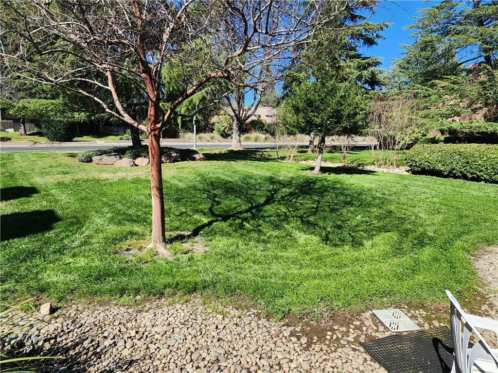 2820 Pennyroyal Property Photo 4