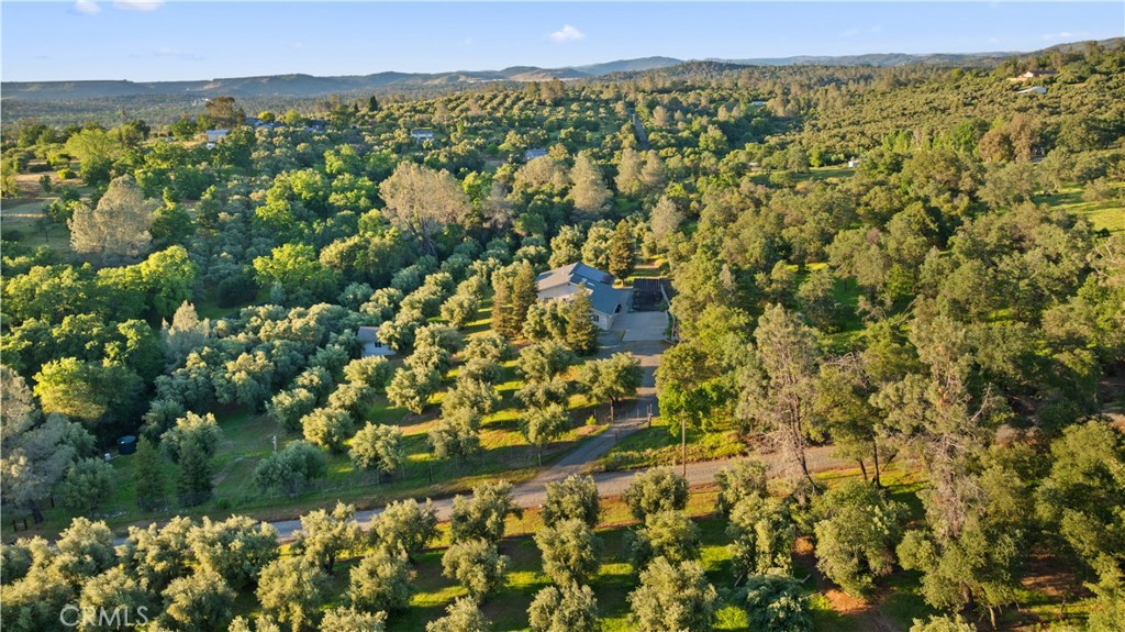 43 Shelley Property Photo 1