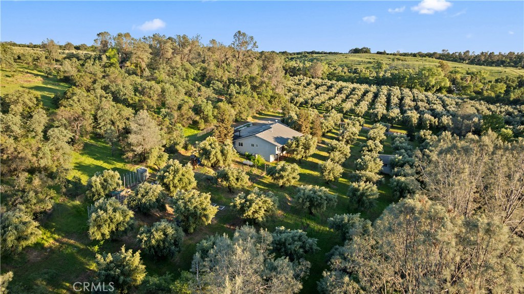 43 Shelley Property Photo 43