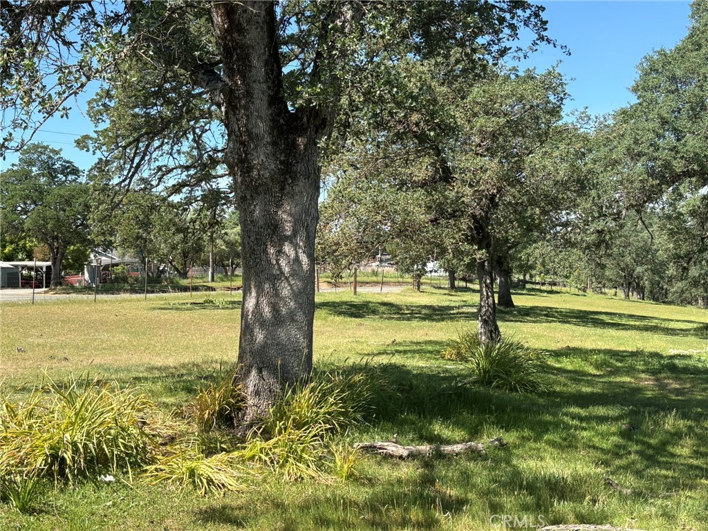 3465 Foothill Boulevard Property Photo 4