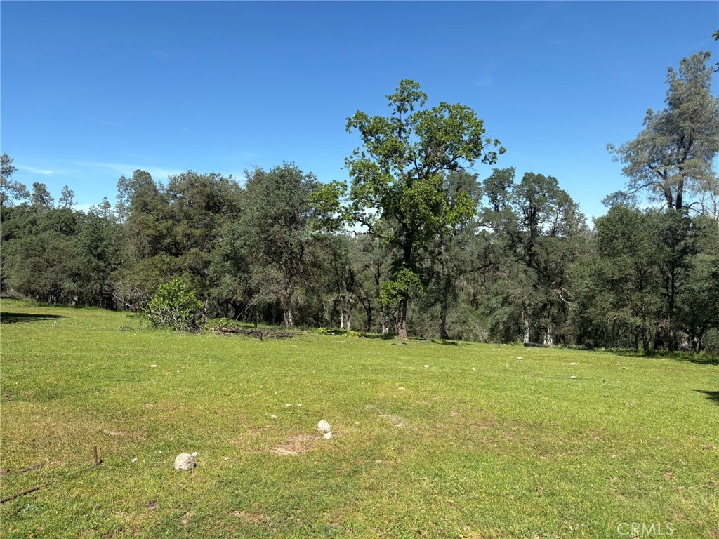 3465 Foothill Boulevard Property Photo 10