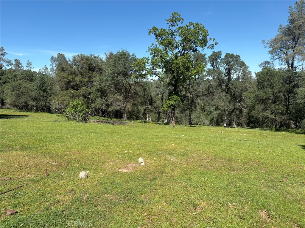 3465 Foothill Boulevard Property Photo 11